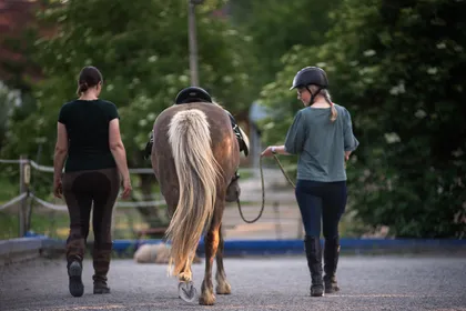 Mensch und Pferd gemeinsam